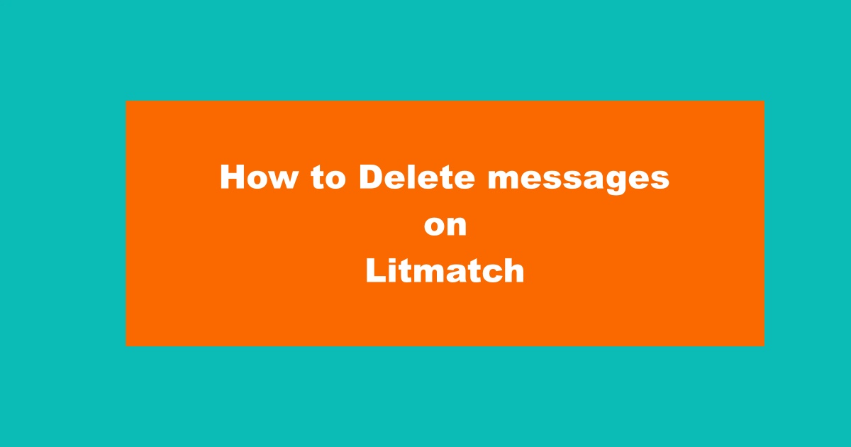 How to Delete Message In Litmatch