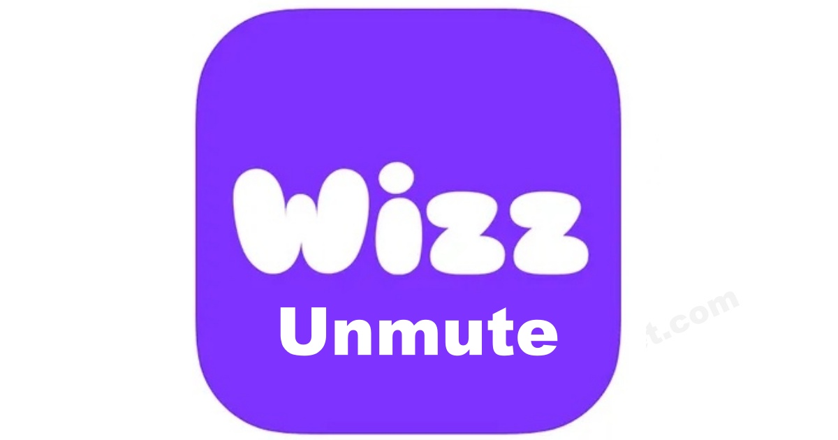 How to Get Unmuted On Wizz