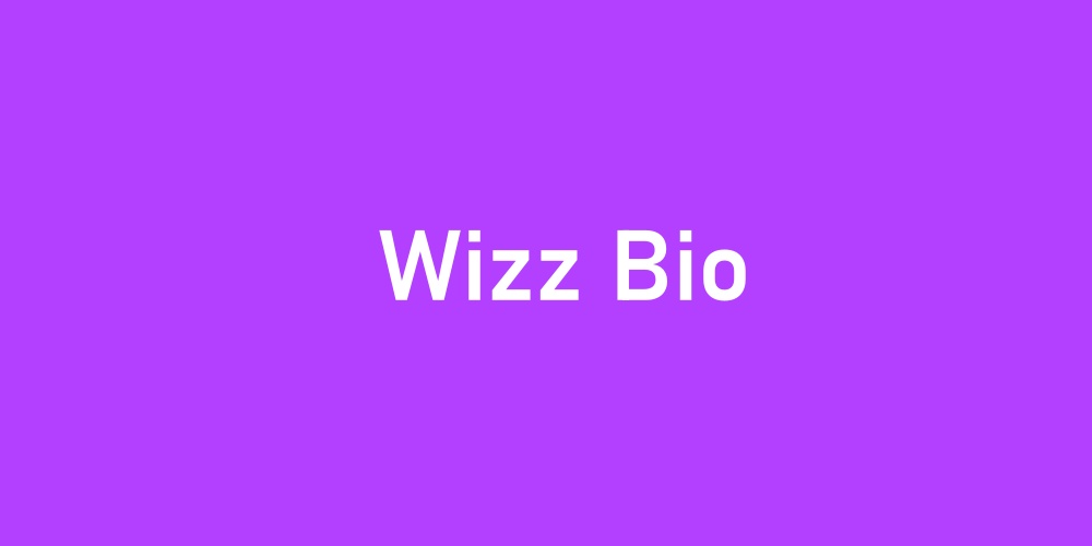 Change Bio On Wizz