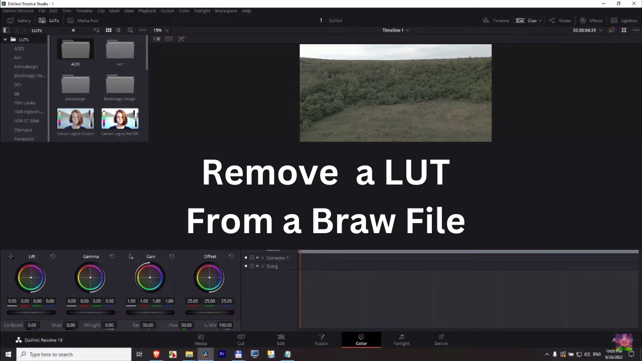 How to Remove A Lut From A Braw File